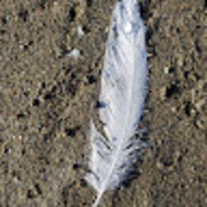 Meet your Posher, Nichole